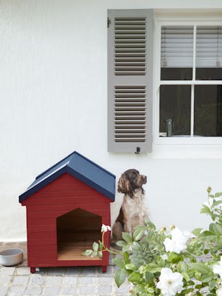 Bestens geeignet für Tiere: die schadstofffreien Lacke von Little Greene.